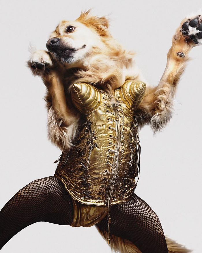 Photographer And His Dog Recreated Madonna's Iconic Photos