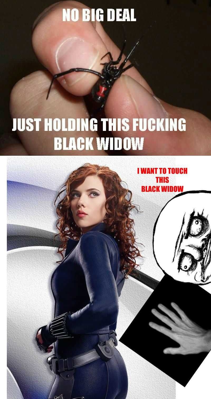 Hilarious Black Widow Memes
